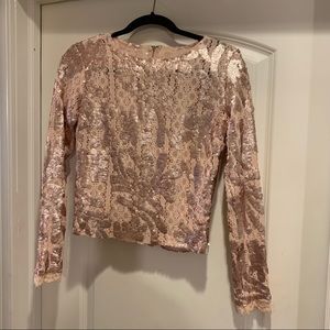 Blush color lace elegant detailed sequin long sleeve top
